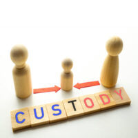 Custody31 Custody31